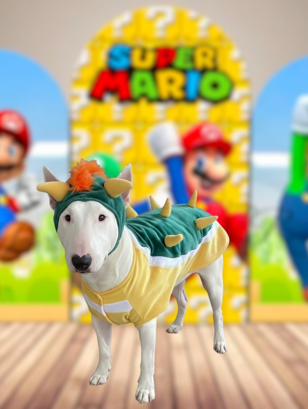Pet Costume Inspired By Mario Bros. Bowser By Comfy Camper, M
